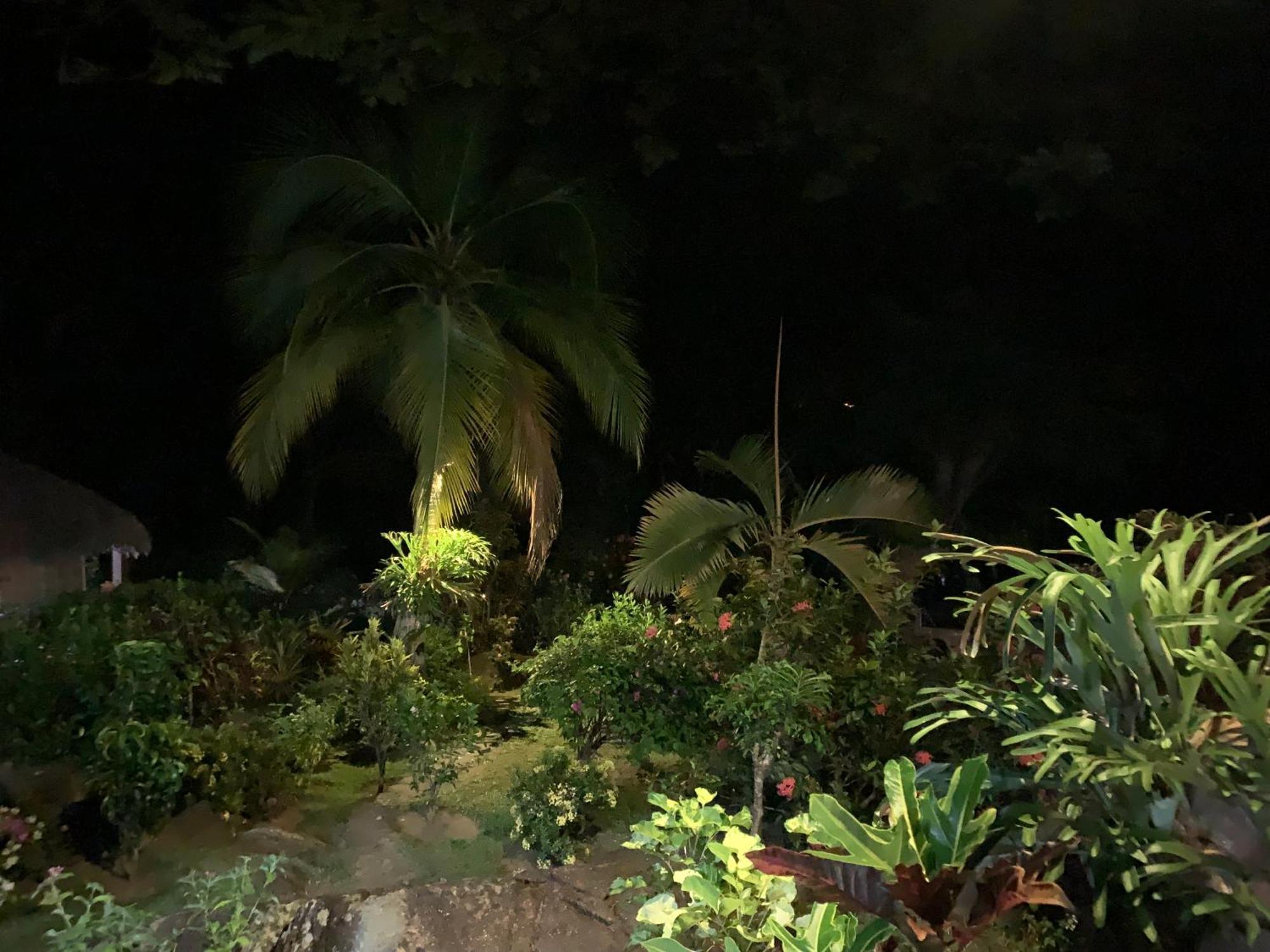 Les Jardins D'Ankify Bed & Breakfast Andimaka Luaran gambar