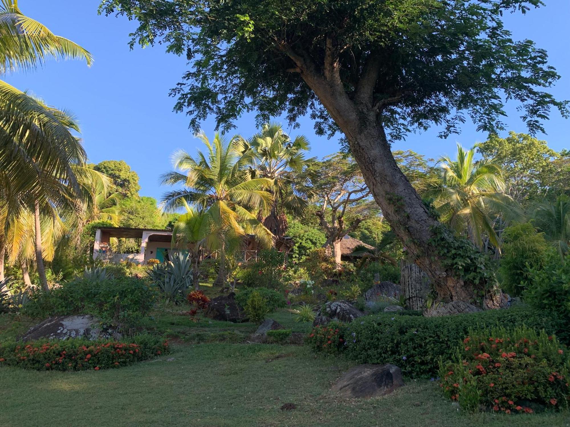 Les Jardins D'Ankify Bed & Breakfast Andimaka Luaran gambar