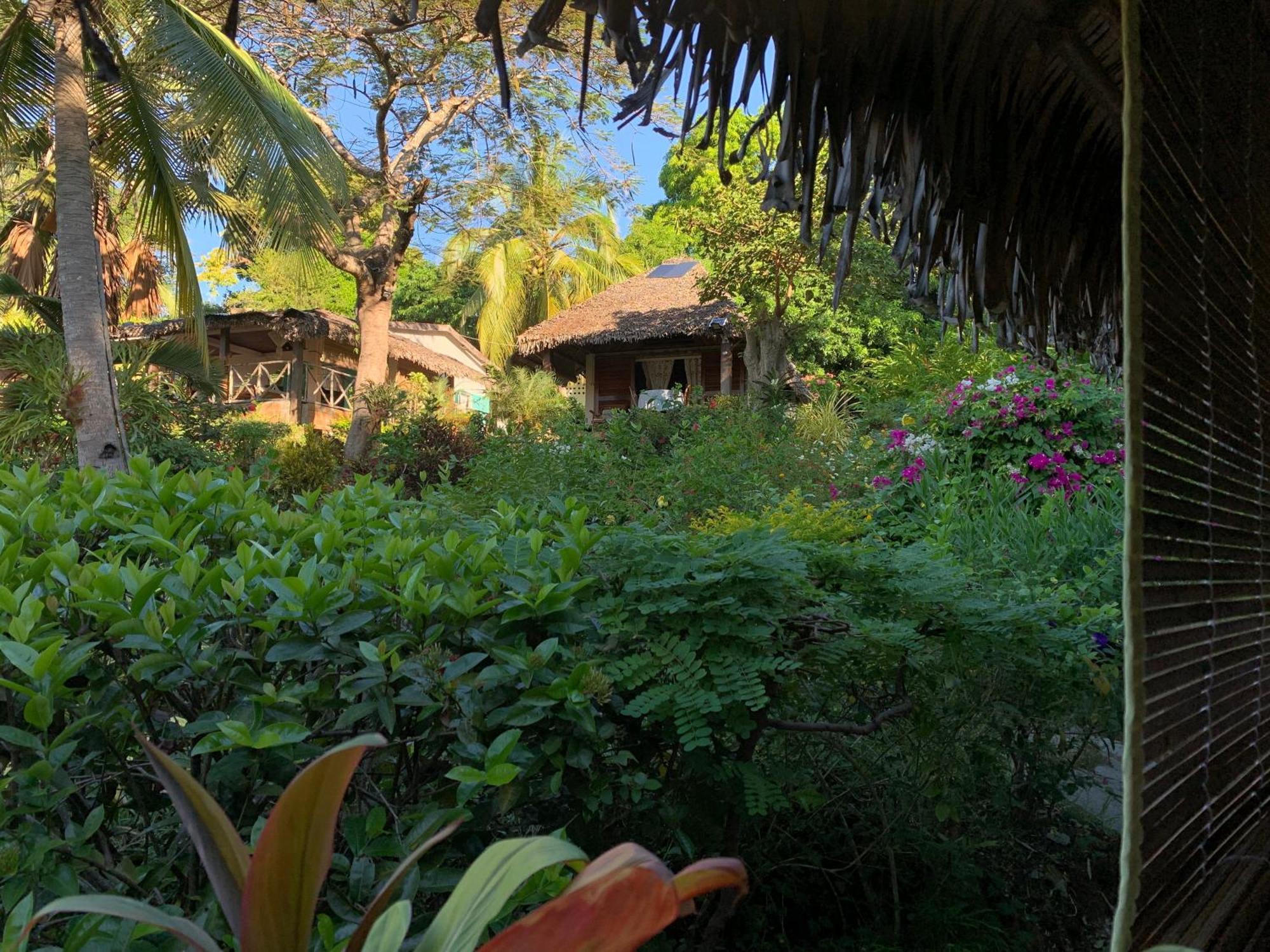 Les Jardins D'Ankify Bed & Breakfast Andimaka Luaran gambar