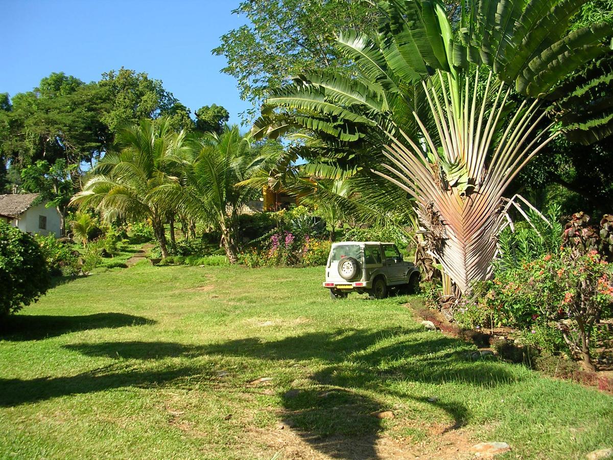 Les Jardins D'Ankify Bed & Breakfast Andimaka Luaran gambar